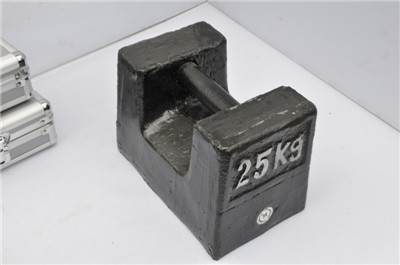 Cast Iron M1 25kg